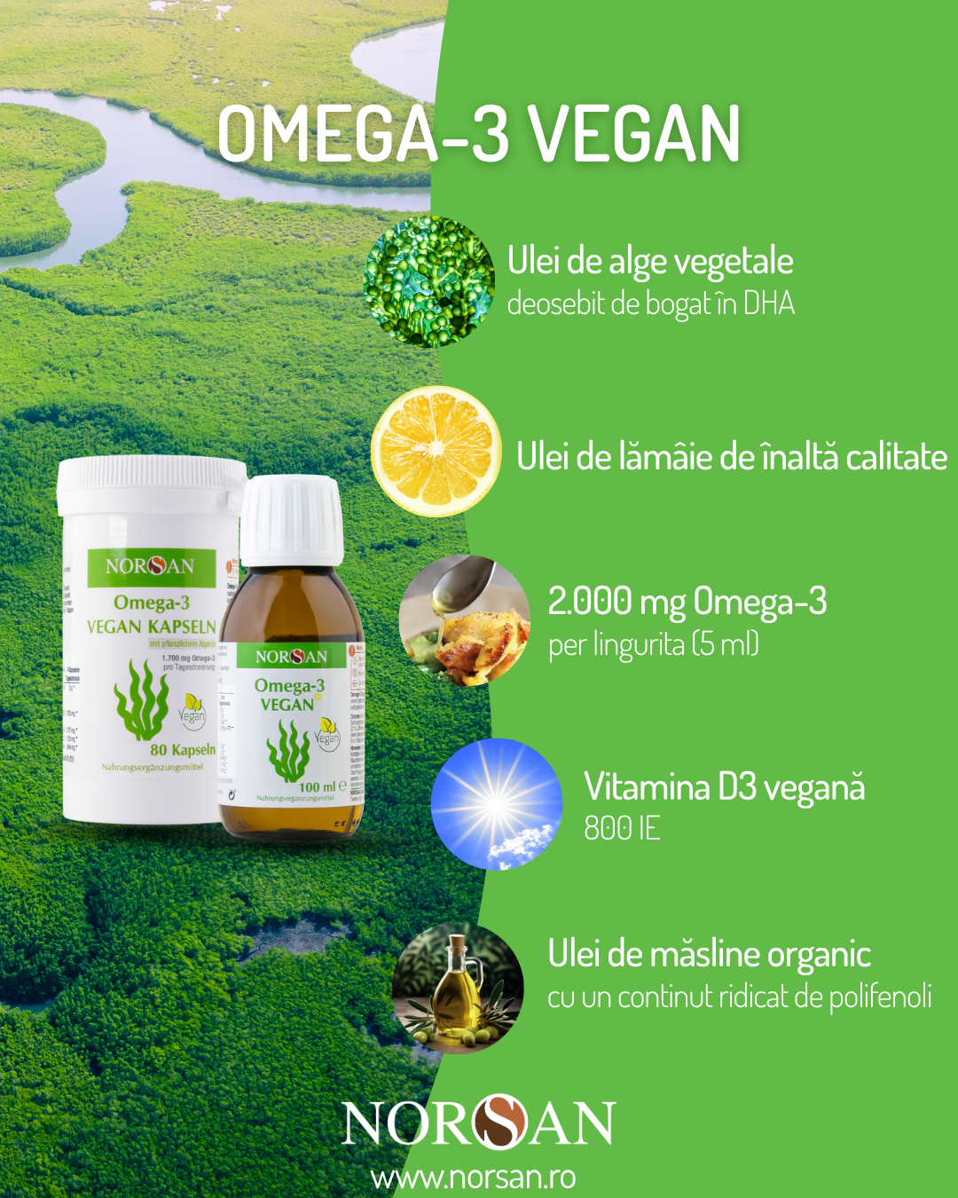 NORSAN Omega 3 Vegan Ulei