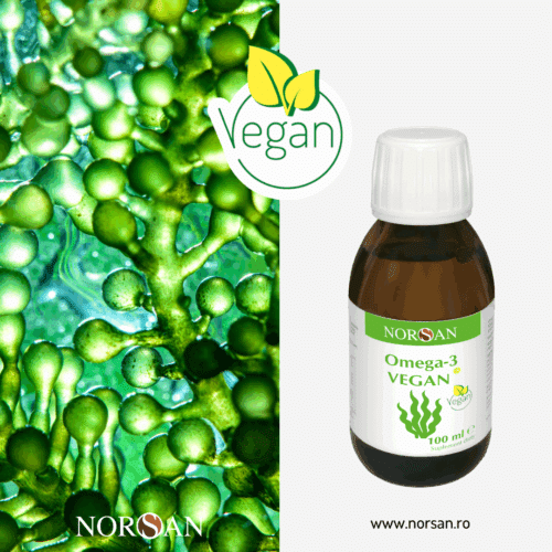 Omega-3 Vegan ulei - imagine 3