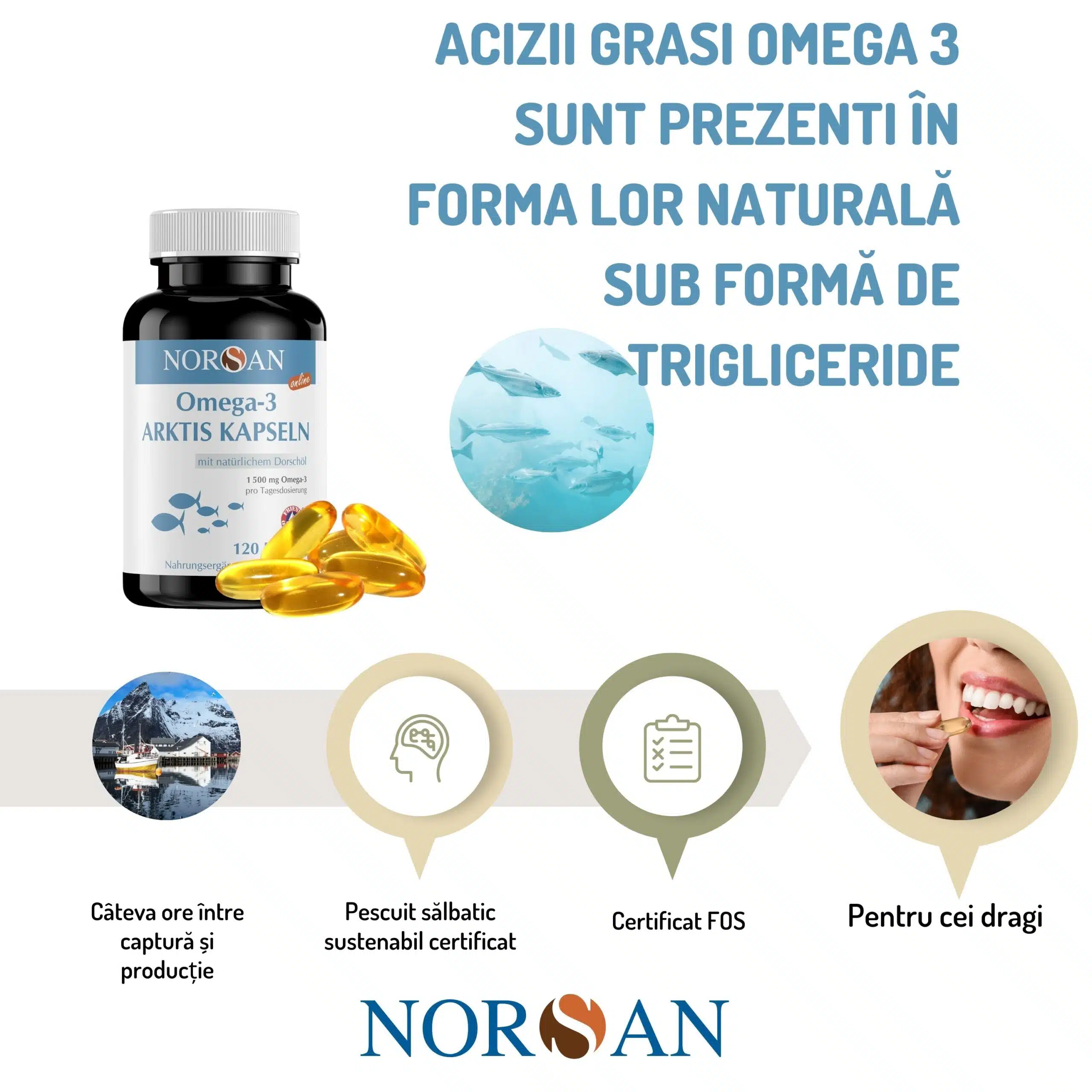 Omega 3 Arktis Capsule - imagine 5