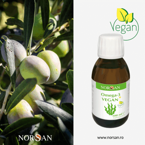 Omega-3 Vegan ulei - imagine 4